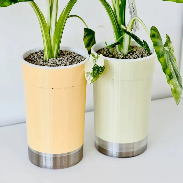The XL Big Plant Duo (2× 14 cm)